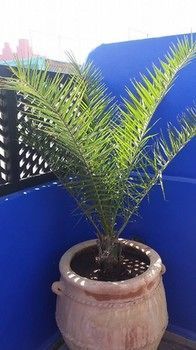 Riad Les 7 Pierres Essaouira Ngoại thất bức ảnh